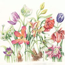 Схема вышивки «№2207071»