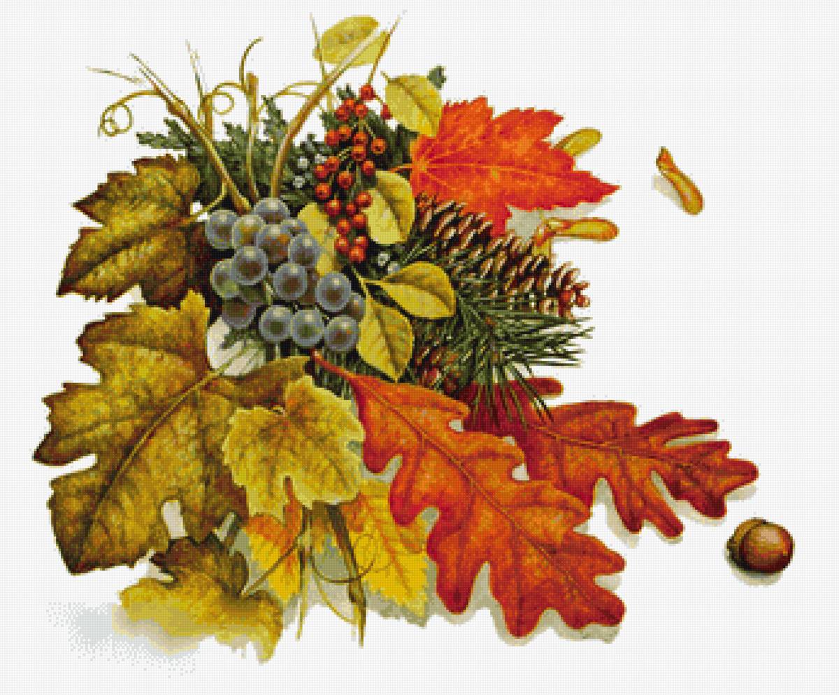 №2207074 - осенние листья - предпросмотр