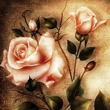 Схема вышивки «Розы»