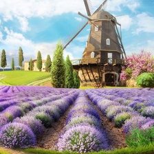 Схема вышивки «№2207444»