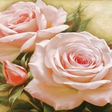 Схема вышивки «Розы»