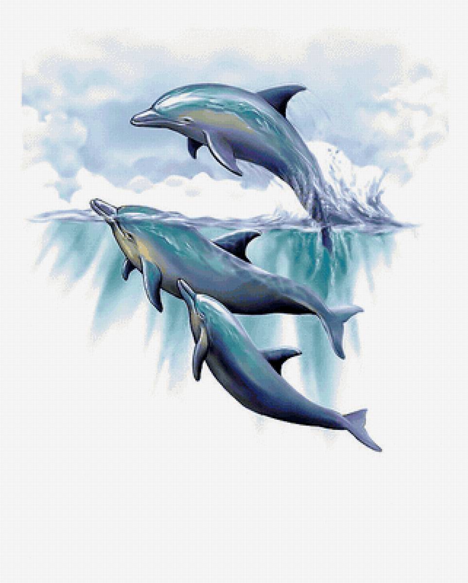 дельфины - рисунок, дельфин, животные. - предпросмотр