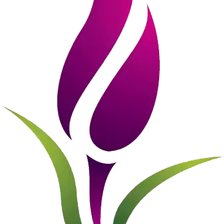 Схема вышивки «Тюльпан»