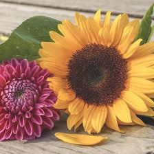 Схема вышивки «№2207852»