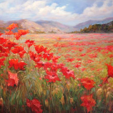 Схема вышивки «маки»