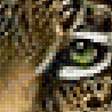 Предпросмотр схемы вышивки «Ягуар» (№2208086)