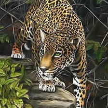 Схема вышивки «Ягуар»