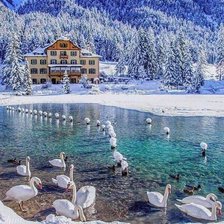 Схема вышивки «Лебеди»