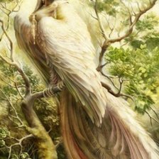 Схема вышивки «Аканост»