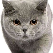 Схема вышивки «Иду к вам»