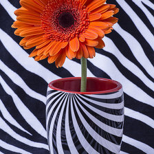 Схема вышивки «№2209304»