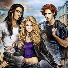 Схема вышивки «Книга»