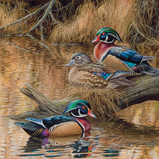 Схема вышивки «Sitting Pretty.»