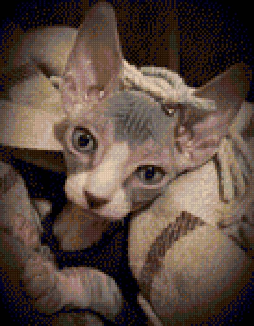 Настин Сфинкс - предпросмотр