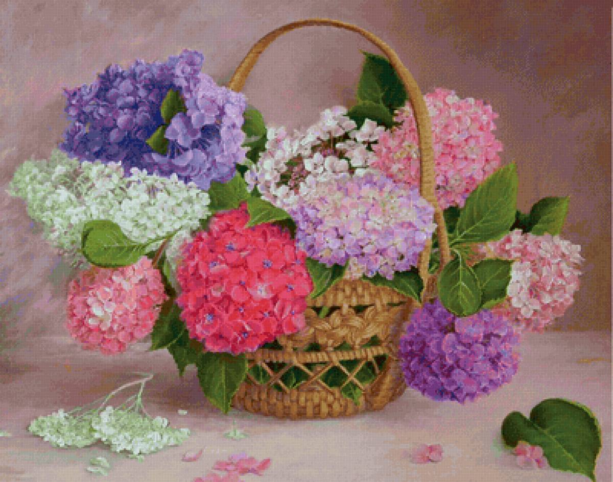 Cesta com  hortênsias - flores .hortênsias. - предпросмотр