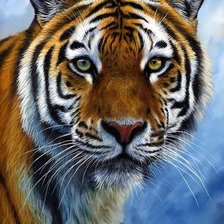 Схема вышивки «Tigre.»