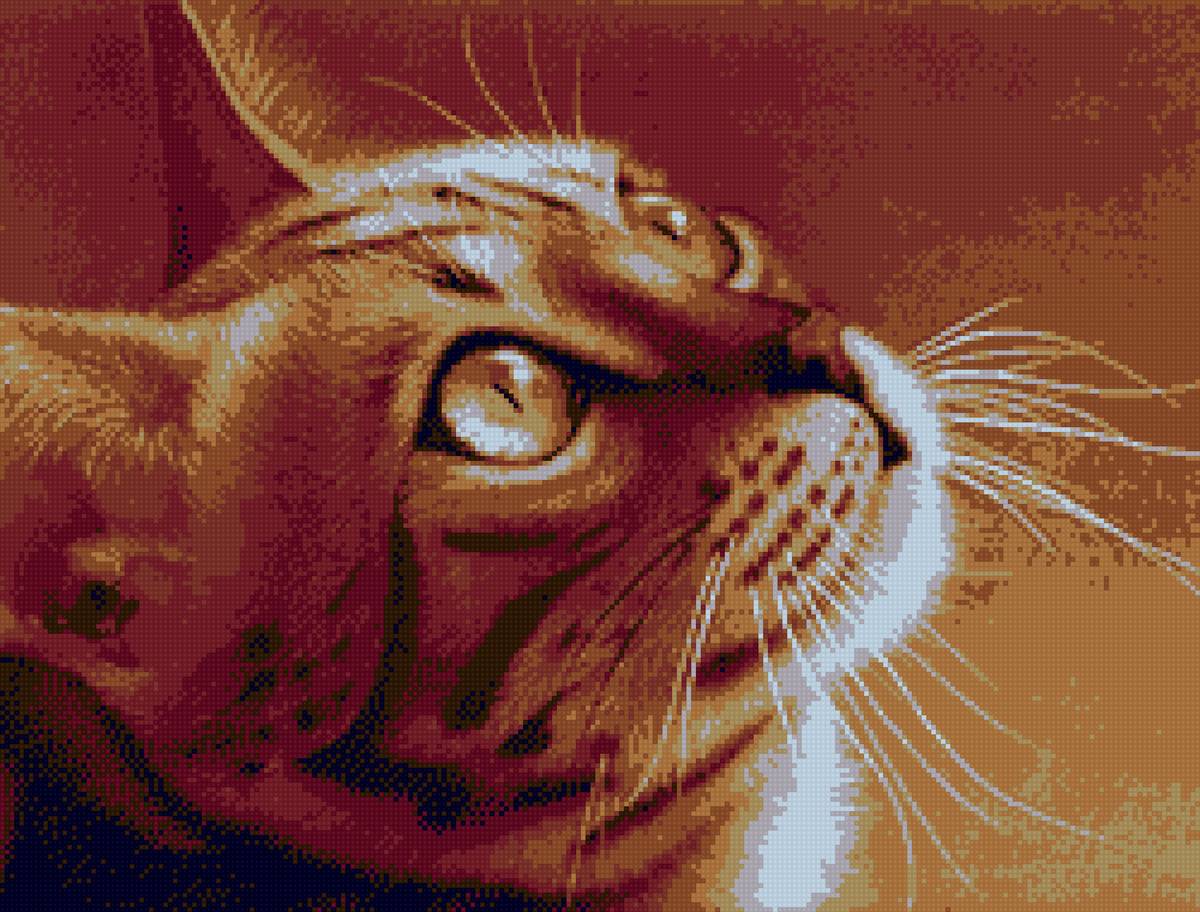 Cat. - кот. - предпросмотр