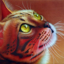 Схема вышивки «Cat.»