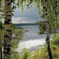 Схема вышивки «Березы»