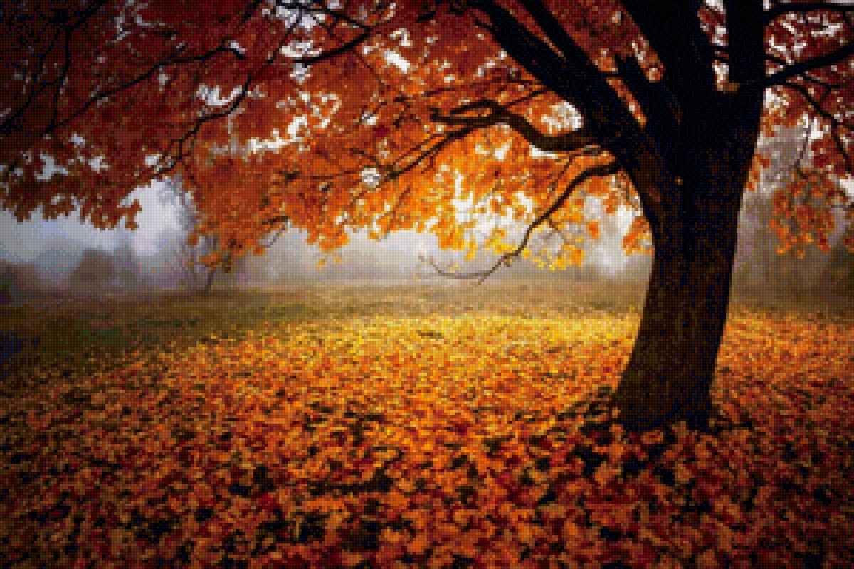 Природа - природа, лес - предпросмотр