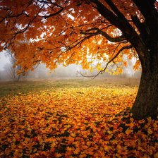 Схема вышивки «Природа»