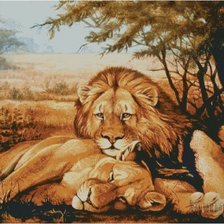 Схема вышивки «сон любимой»