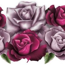 Схема вышивки «РОЗЫ»