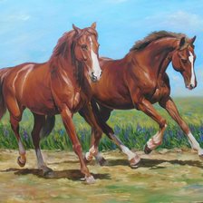 Схема вышивки «играя с ветром»