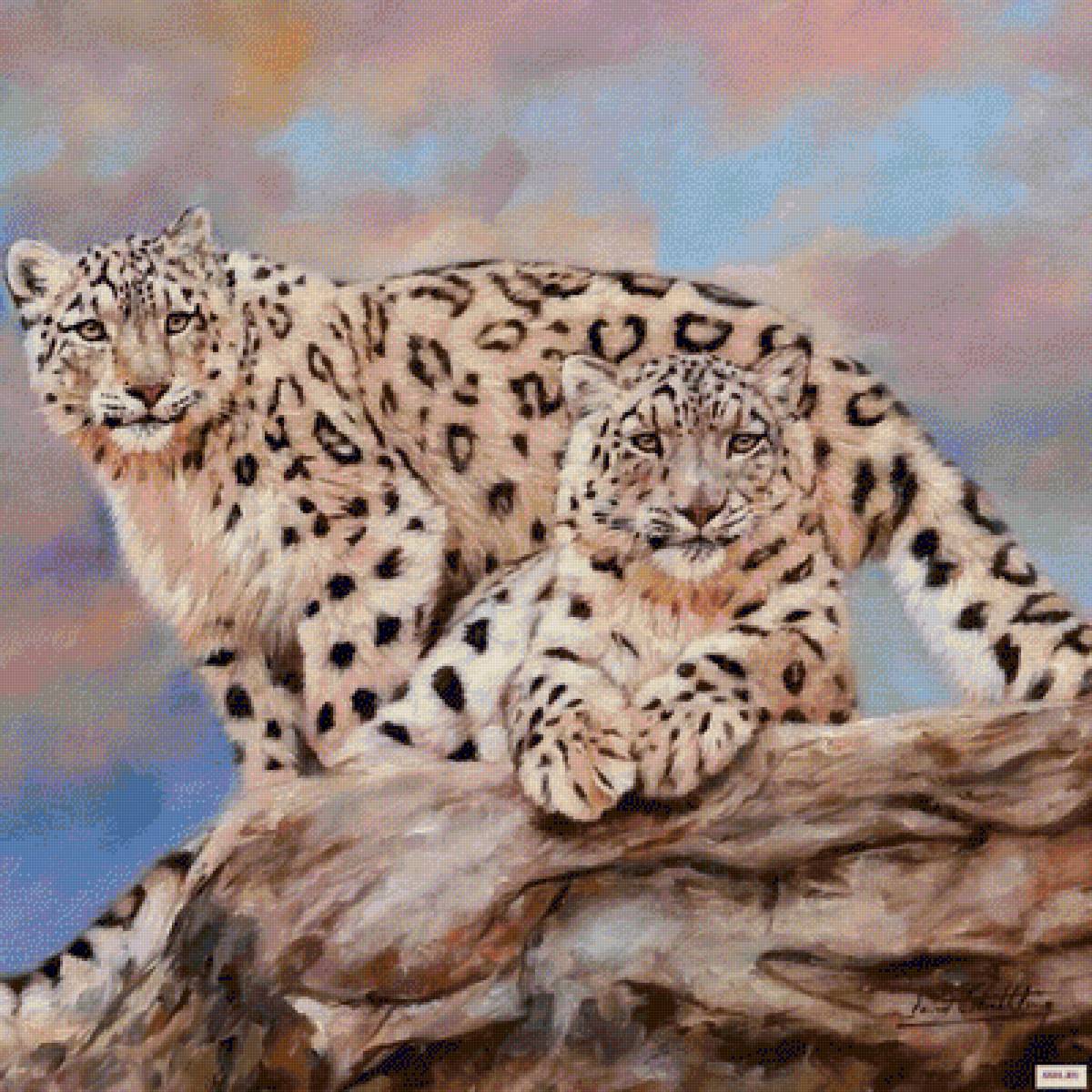 барсы - животные - предпросмотр