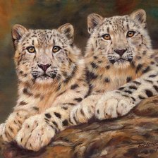 Схема вышивки «в гармонии»