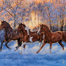 Схема вышивки «свобода духа»