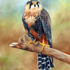 Схема вышивки «в гармонии»