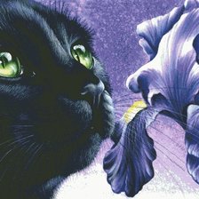 Схема вышивки «цвет настроения синий»