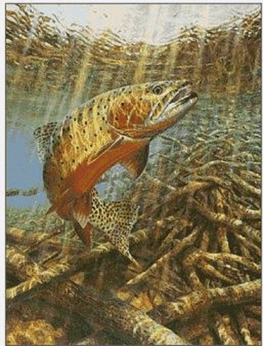 форель - форель рыба - предпросмотр