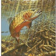 Схема вышивки «форель»