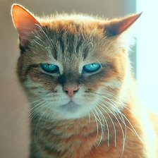 Схема вышивки «Доброе утро»