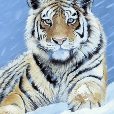 Схема вышивки «Тигр»