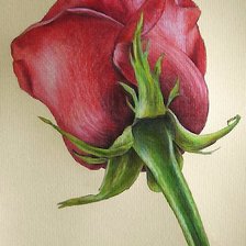 Схема вышивки «рисунок»