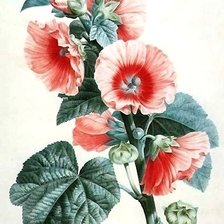 Схема вышивки «цветы»