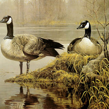 Схема вышивки «утки на озере»