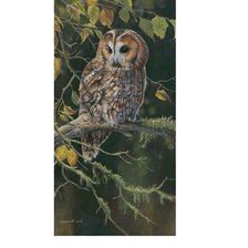 Схема вышивки «сова»