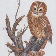 Схема вышивки «Сова на суку»