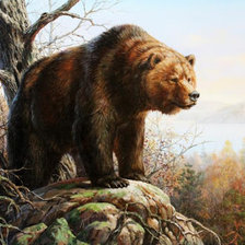 Схема вышивки «хозяин тайги»