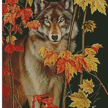 Схема вышивки «взгляд хищника»