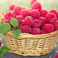 Схема вышивки «Малинка»