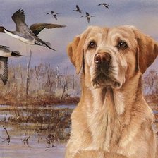 Схема вышивки «друзья»