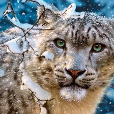 Схема вышивки «Барс»