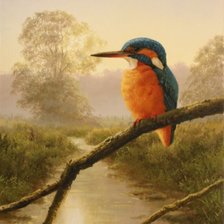 Схема вышивки «Птицы»