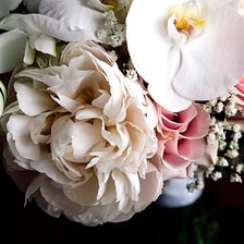 Схема вышивки «Нежные цветы»