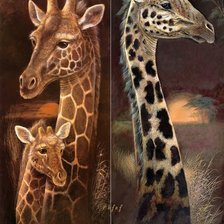 Схема вышивки «Collage- ЖИРАФЫ»